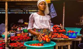 Face au changement climatique, les agricultures africaines au défi de la sécurité alimentaire